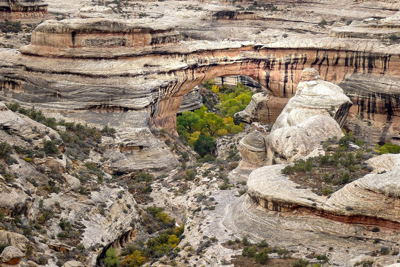 Aerial View of Natural Bridges