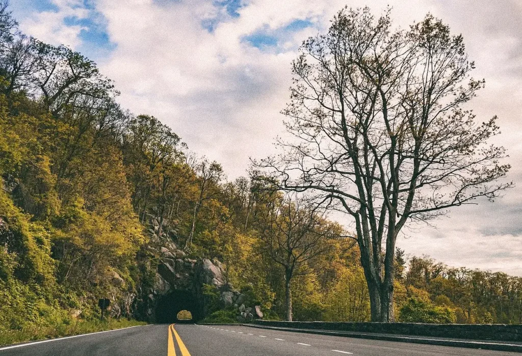 Shenandoah National Park