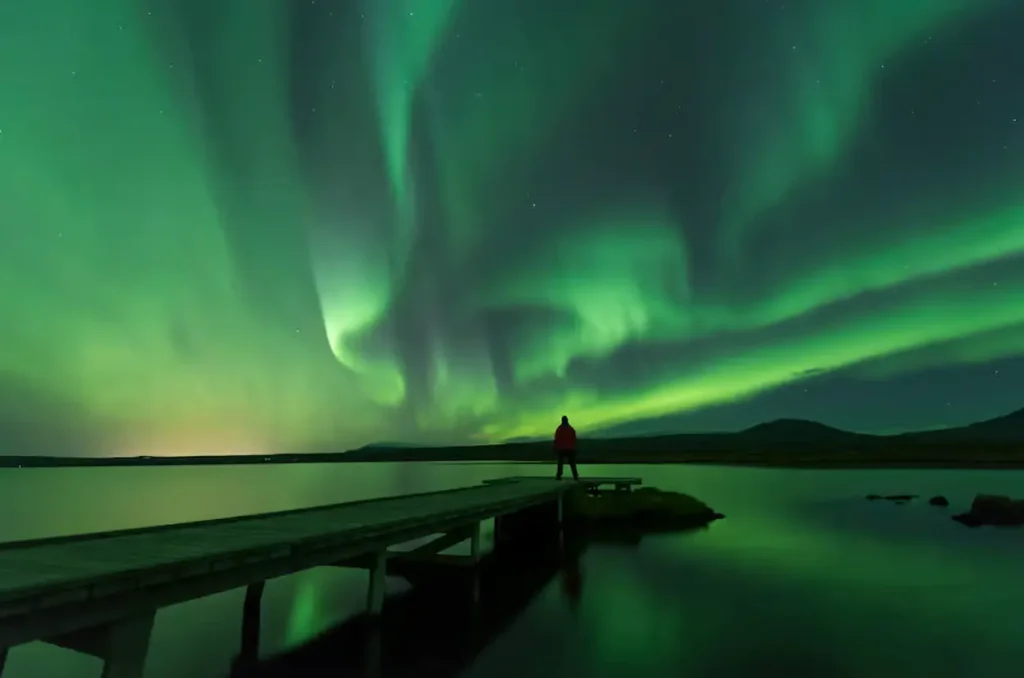 Blue Lagoon and Northern Lights Tour