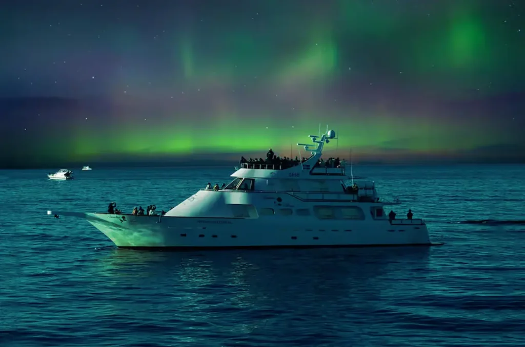 Northern Lights Yacht Tour