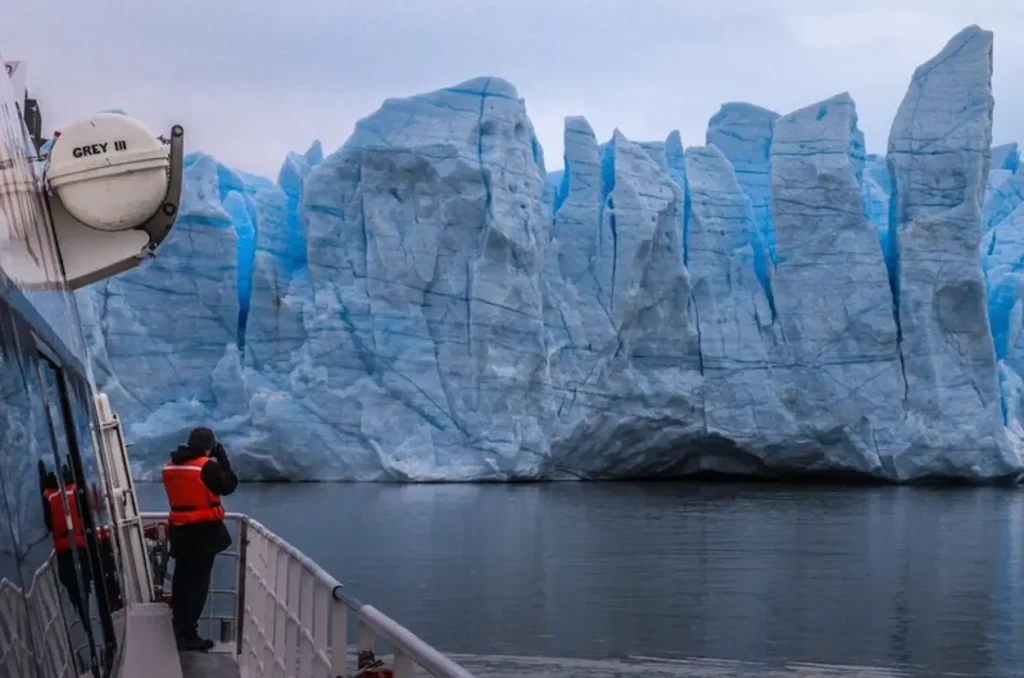 Grey Glacier Boat Tour