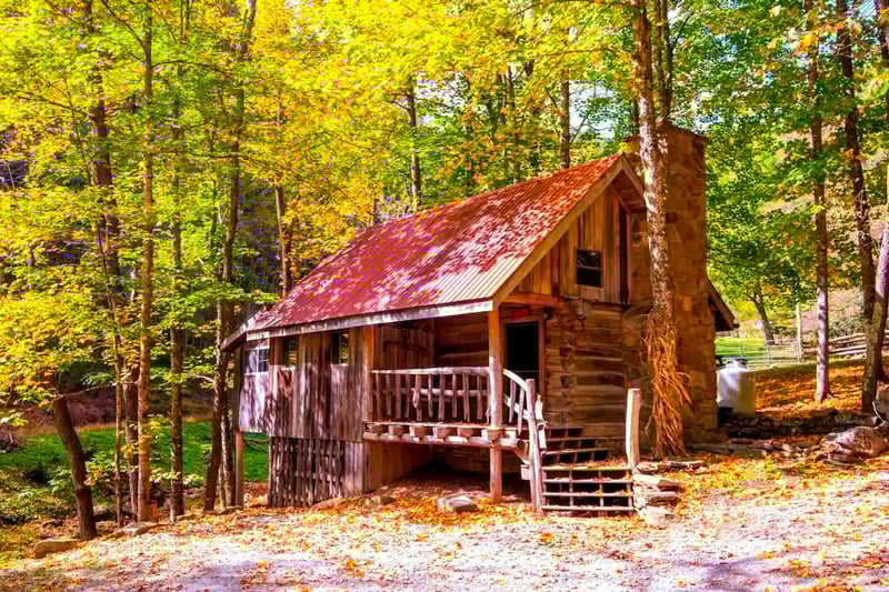 This rustic cabin is surrounded by vibrant autumn colors, making it one of the best fall foliage Airbnbs in the US for a peaceful nature retreat