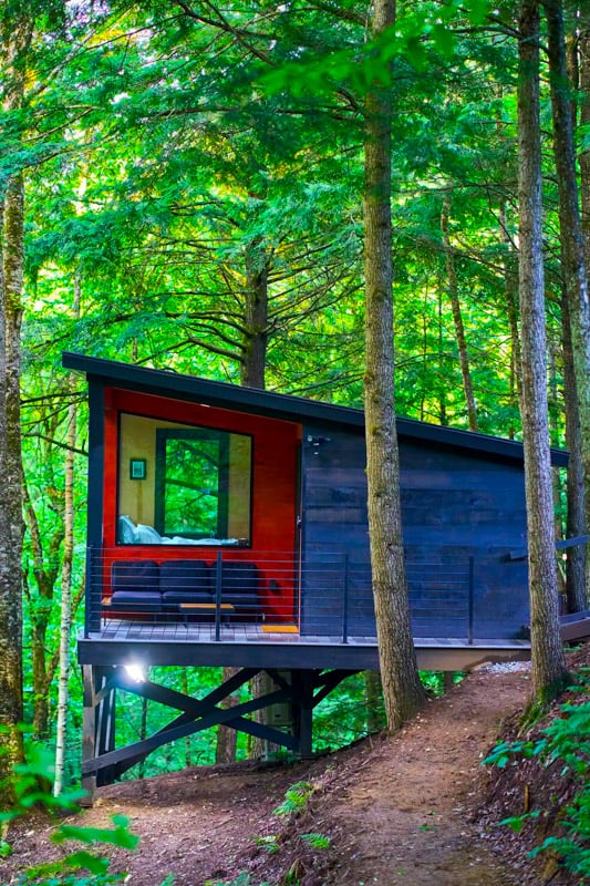 Nestled in the trees with stunning fall foliage views—Cady’s Falls Cabin is the perfect autumn escape