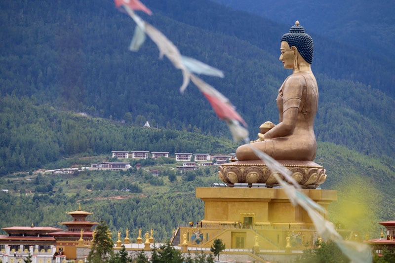 Bhutan is one of the top countries that ban GMO foods.