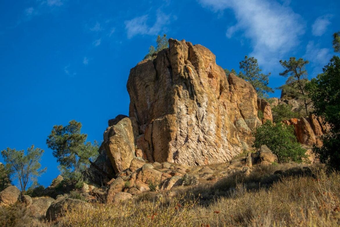 Guide to Pinnacles National Park