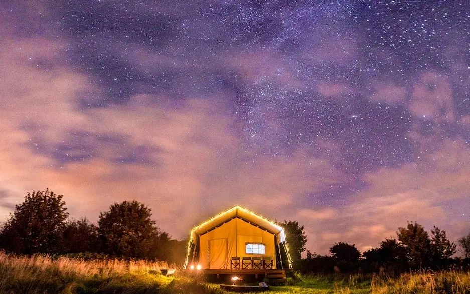 Incredible night skies at Top of the Woods!