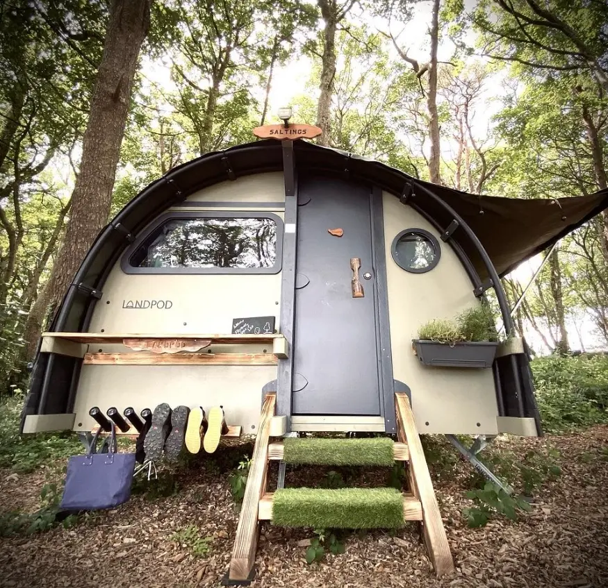 Wildflower Wood at Beersheba Farm