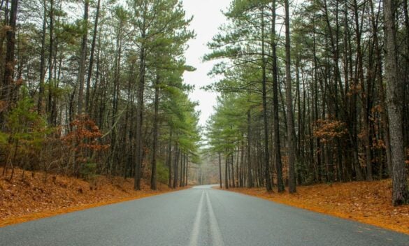 The BEST North Carolina Road Trip Itinerary of 2025
