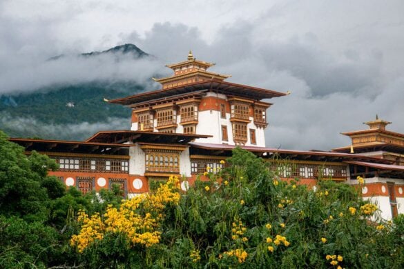 Top 10 Countries that Ban GMO Foods (2025)