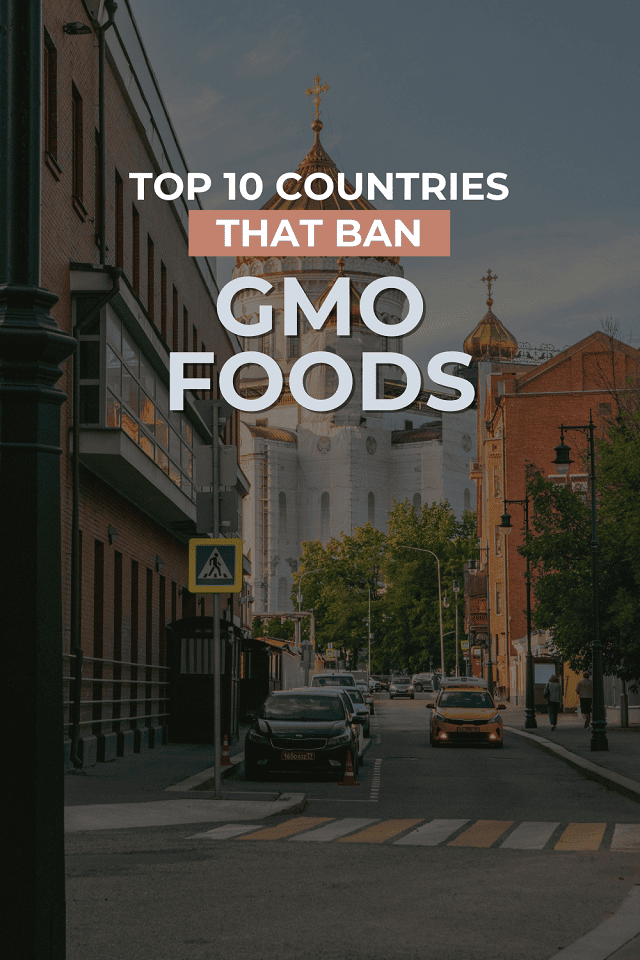 The top countries that ban GMO foods