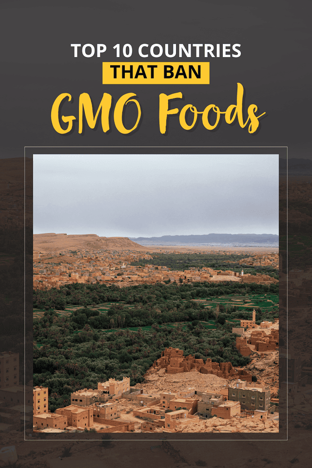 The top countries that ban GMO foods in 2024