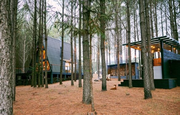 Top 10 Fall Foliage Airbnbs in Vermont in 2024