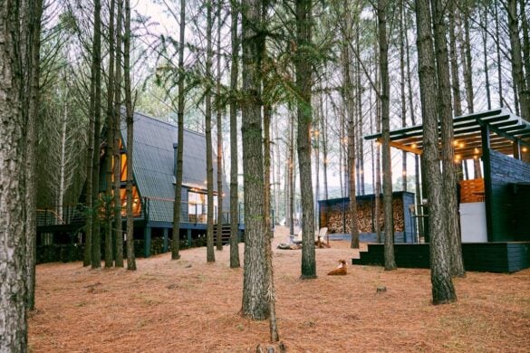 Top 10 Fall Foliage Airbnbs in Vermont in 2025