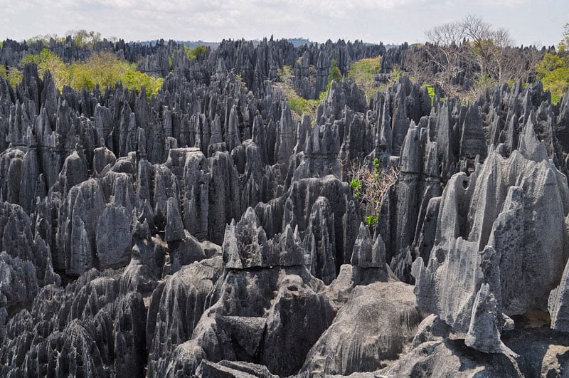 The Tsingy de Bemaraha is a wild maze of razor-sharp limestone towers, like nature's own Ninja Warrior course.