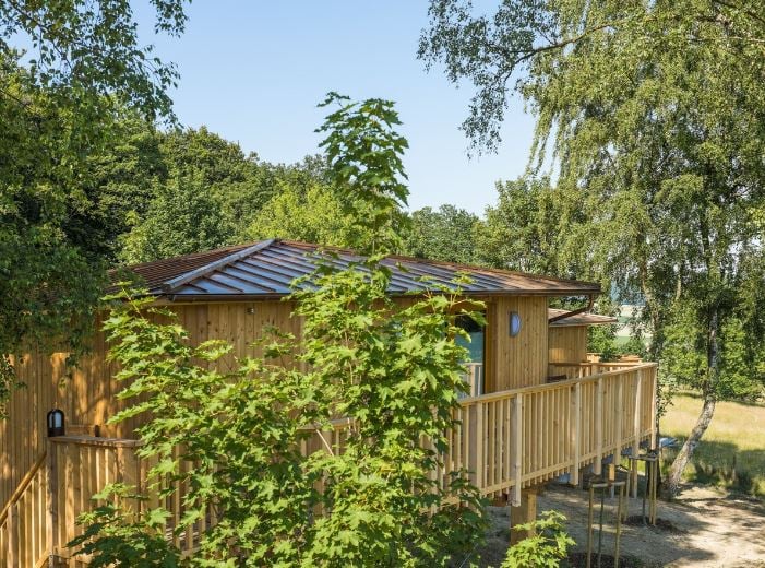 Unique Treehouse Airbnb rental in Germany