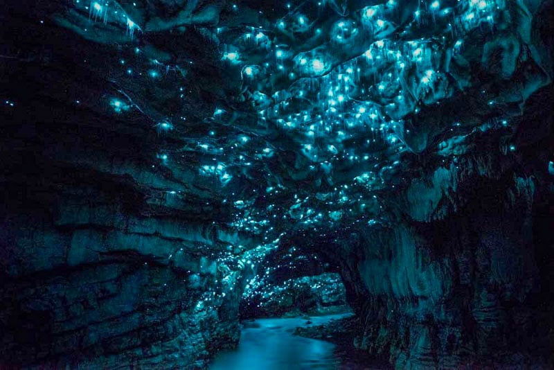 The Waitomo Glowworm Caves in New Zealand are illuminated by thousands of glowing blue glowworms.