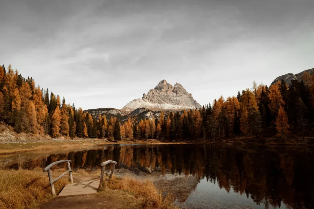 Lake Antorno in autumn with yellow larch trees reflecting in the water below the Tre Cime di Lavaredo peaks