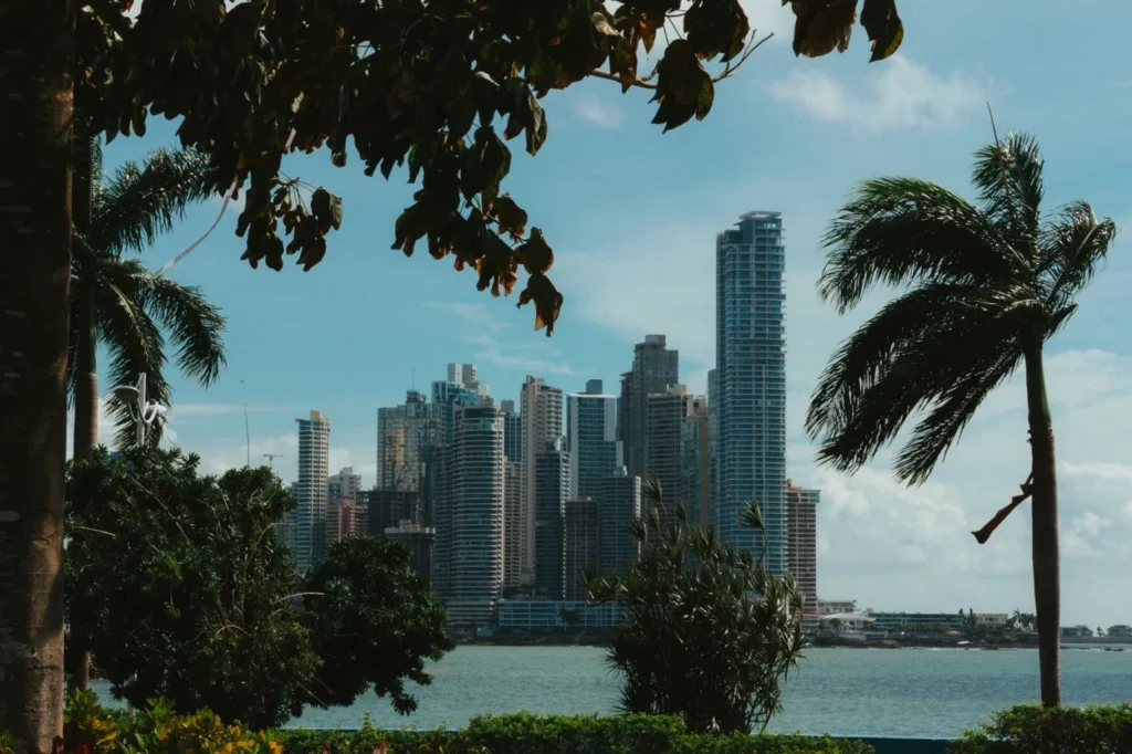 Modern skyscrapers of Panama City seen across the water framed by palm trees