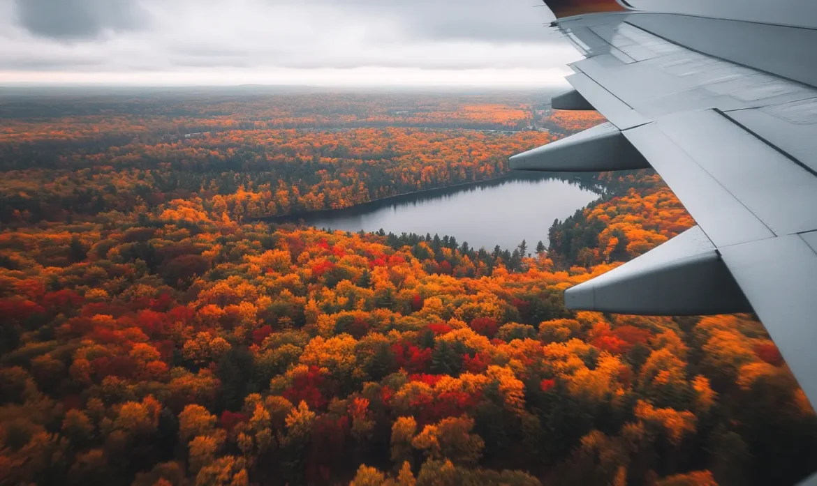 View from a plane window flying overhead fall foliage.