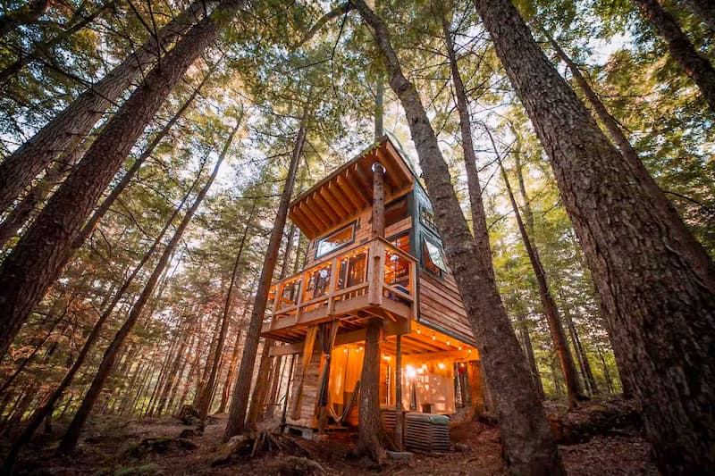A rustic treehouse nestled among tall trees in a forest, lit up at dusk.