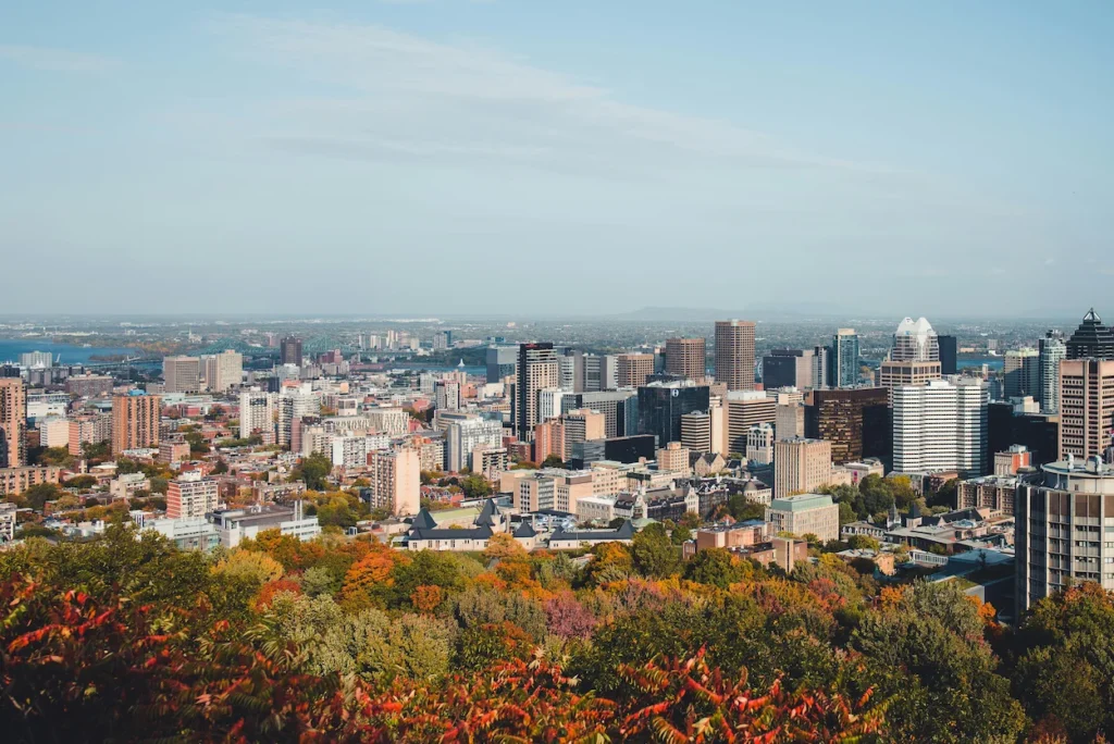 High-angle view of the Montreal downtown skyline from Mount Royal during autumn
