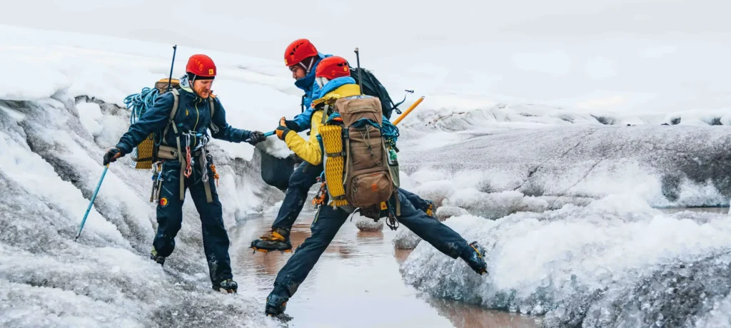 Svalbard wildlife expeditions
