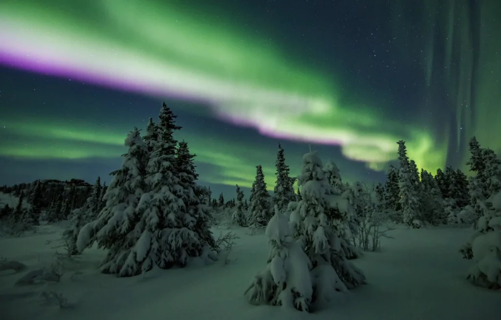 The Aurora Chasers epic northern lights photo