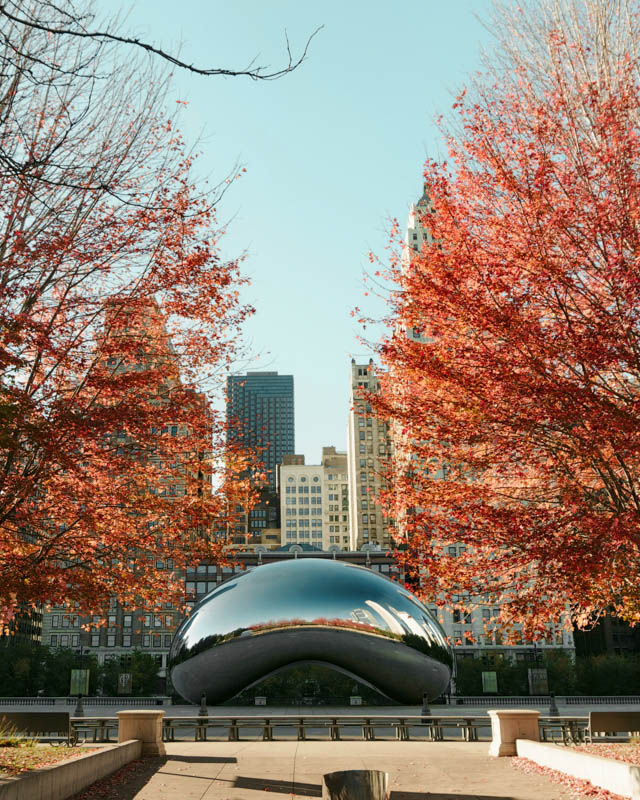 Chicago in the fall