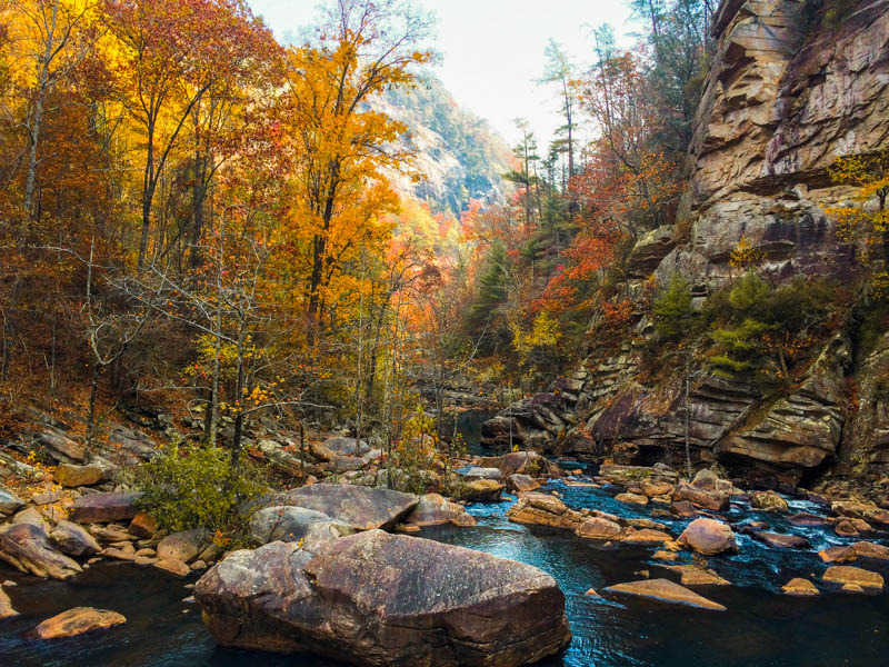 Spectacular foliage near Helen, Georgia