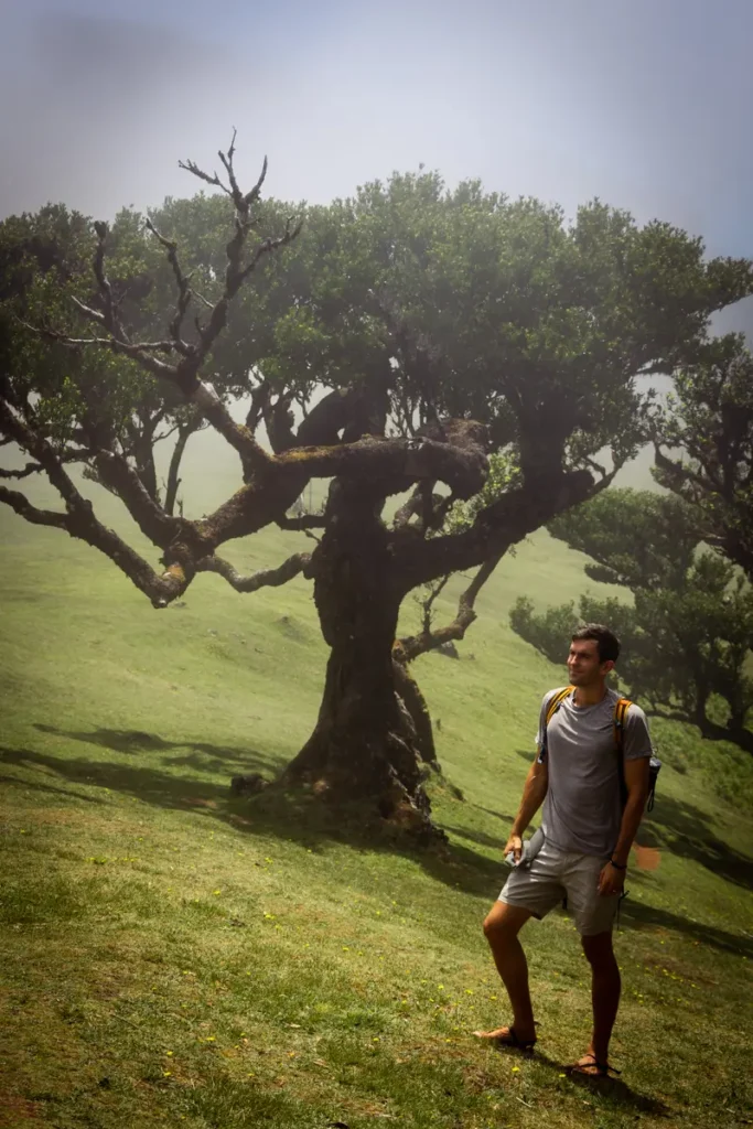My photo of me in Madeira