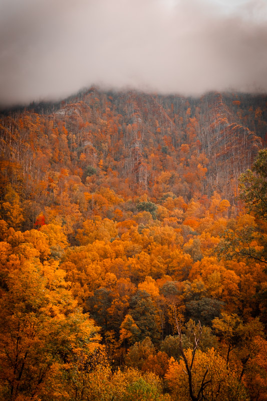 Smoky Mountains with beautiful foliage