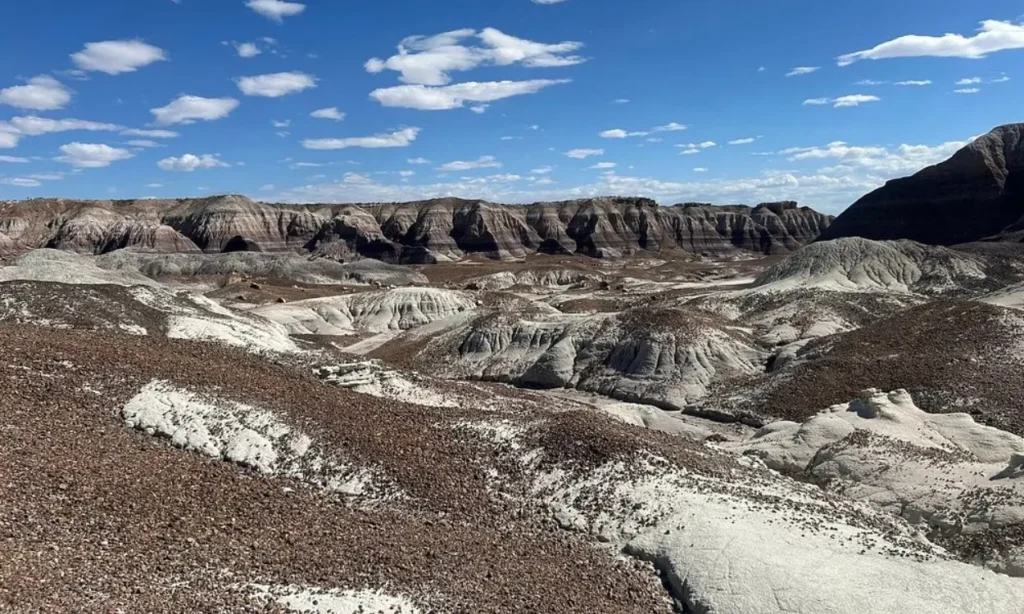 Rugged rock formations and layered hills fill the view at Petrified Forest National Park.