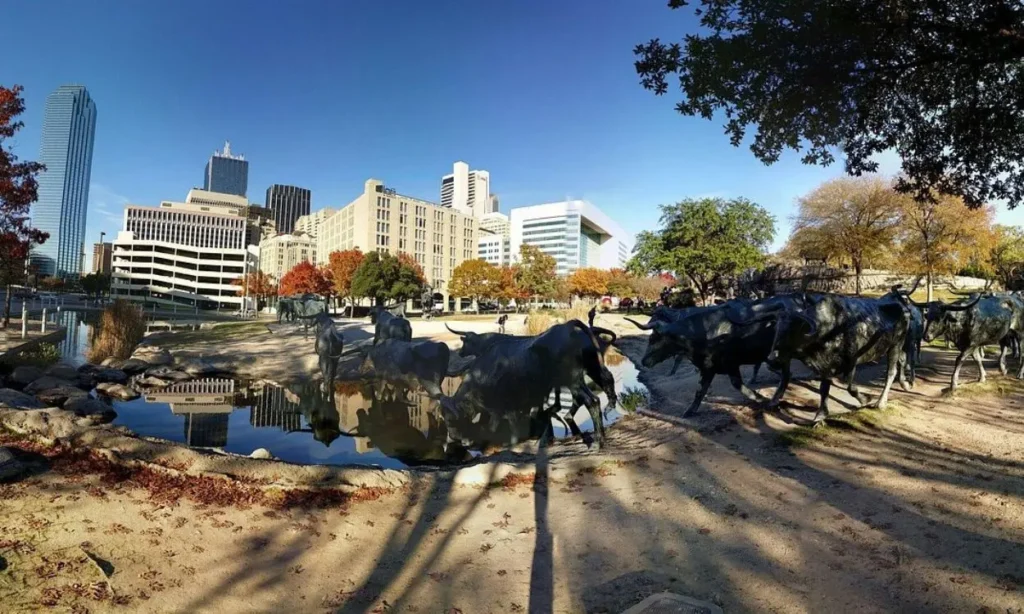 Skyline view of Dallas with a cattle sculpture park in the front.
