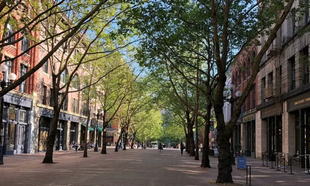 Tree-lined street in Pioneer Square with historic buildings on both sides.