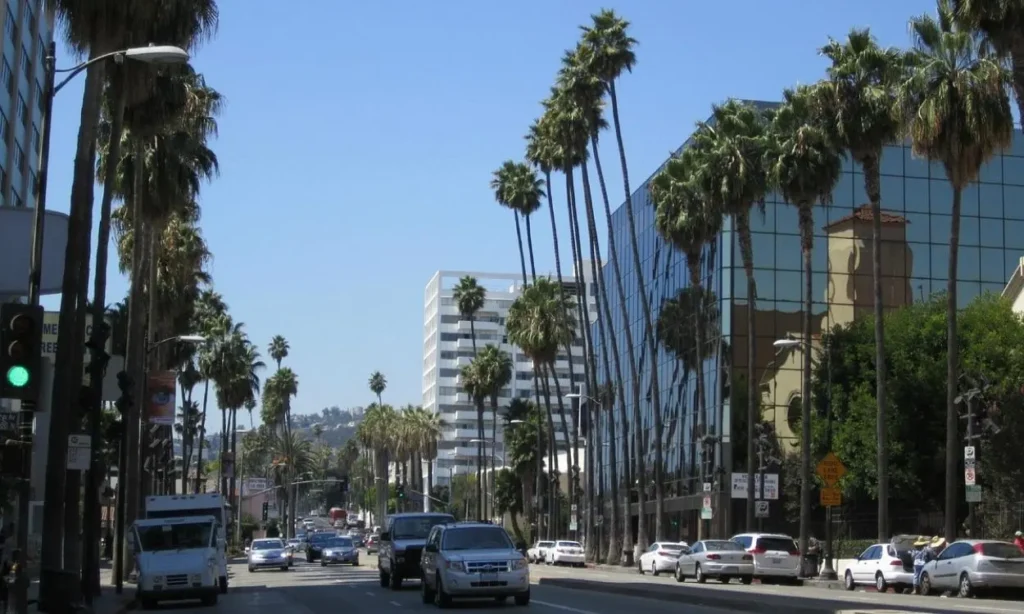 Palm trees line a busy street in Inglewood on a sunny day.