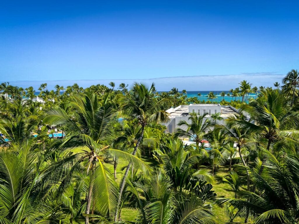 My photo of me staying at the Hotel Riu Palace beach resort in Punta Cana