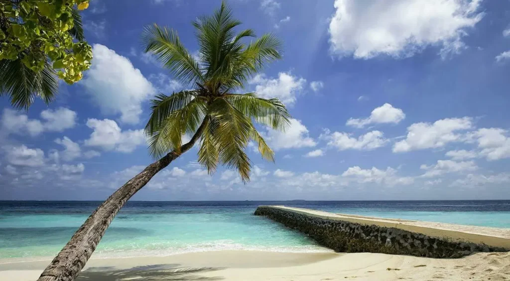 Tropical beach in the Maldive