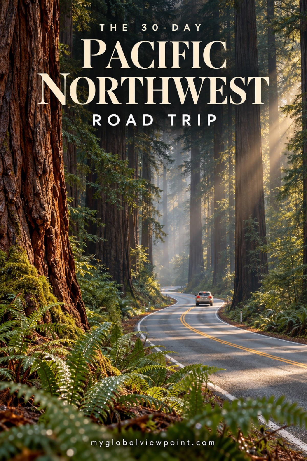 30-day Pacific Northwest road trip itinerary, car on a road through old-growth redwoods